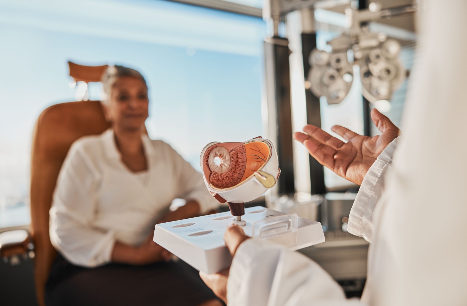 An optometrist shows a model of an eye to their patient.