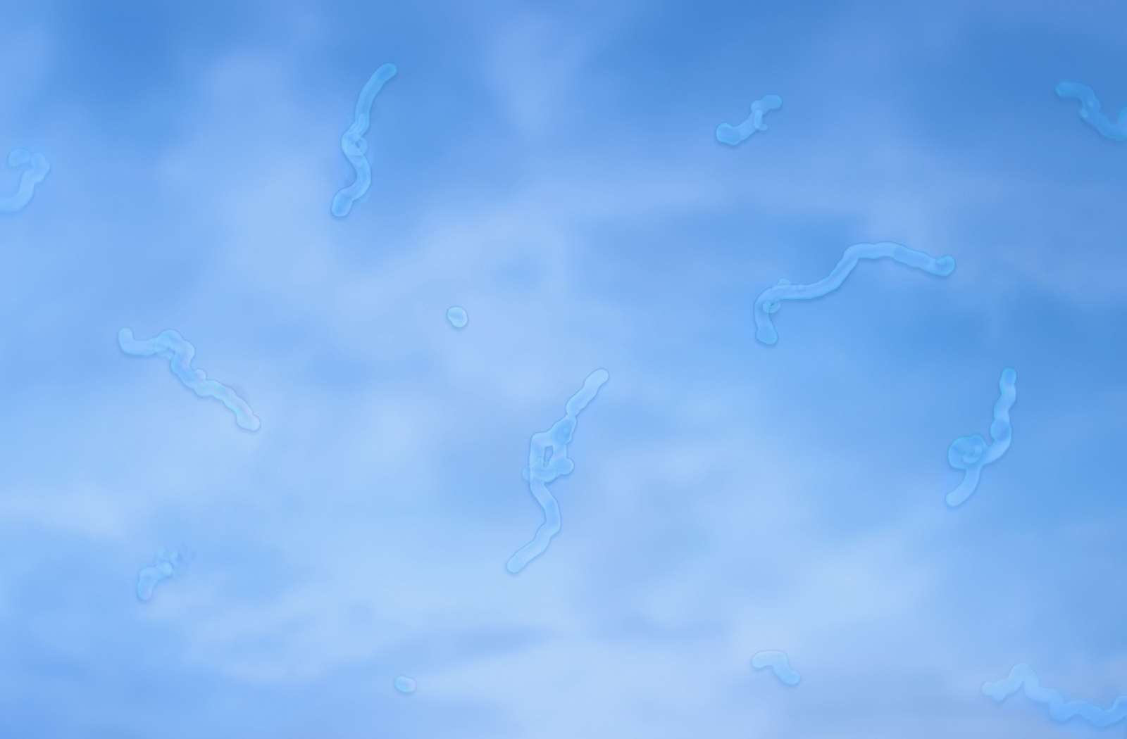 Squiggly, transparent eye floaters drift across clear blue skies.